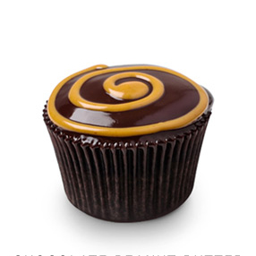 Chocolate Peanut Butter Cheesecake - 32