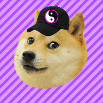 Hat Doge - 32 points