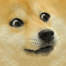 Fat Doge - 128 points