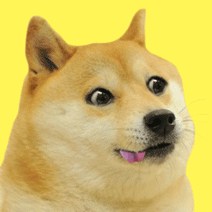 Derp Doge - 1024 points